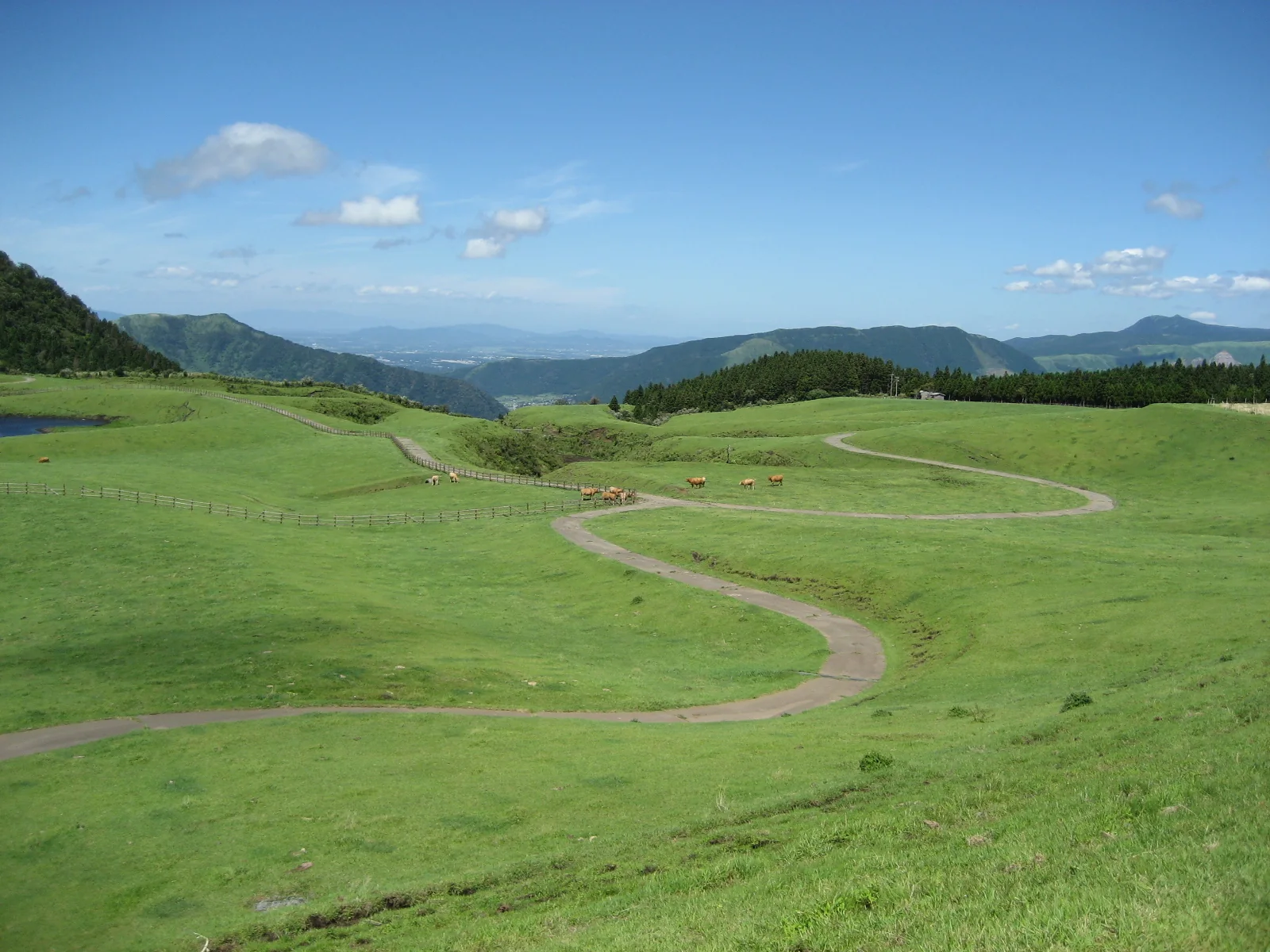 草千里ヶ浜の緑の草原と遊歩道